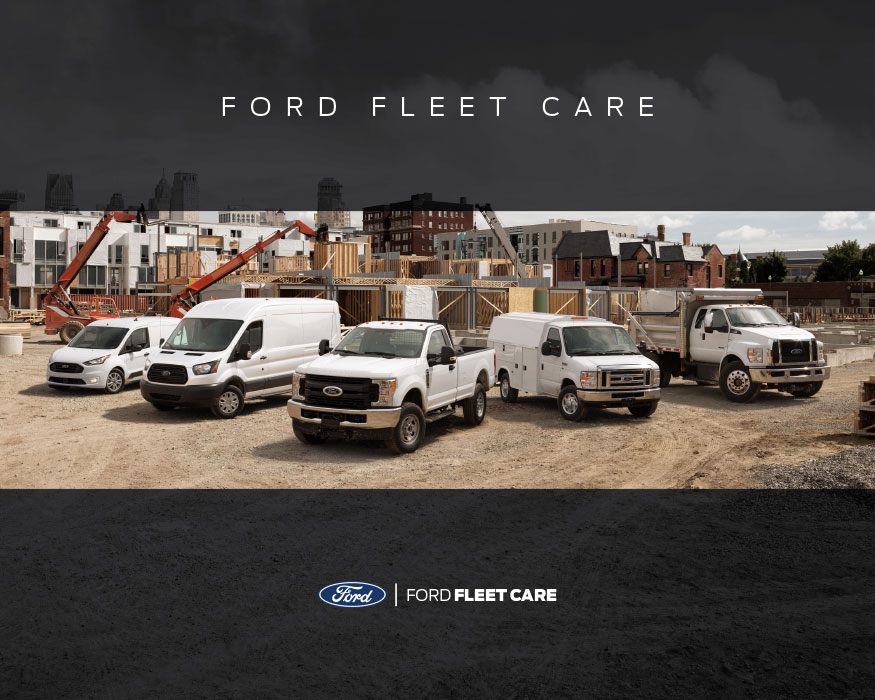 A screenshot of the Ford Fleet Customer Support Document.