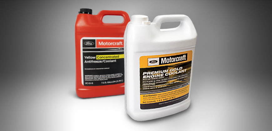 Motorcraft coolants displayed on a clean table.